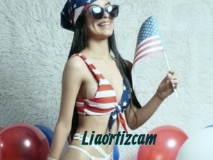 Liaortizcam