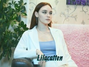Lilacatten