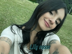 Lily_rosse