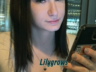 Lilygrows
