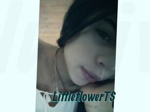 LittleflowerTS