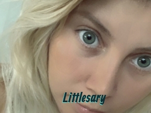 littlesary Lucy Live