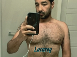 lucarey Lucy Live