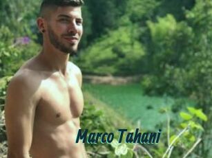 Marco_Tahani