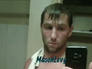 Mason_Levy