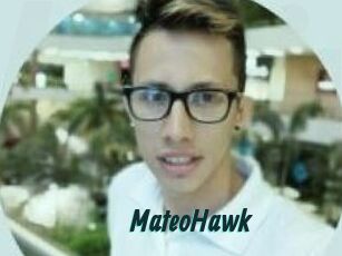 MateoHawk