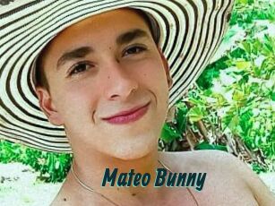 Mateo_Bunny