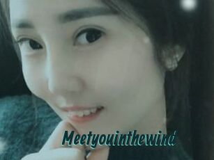 Meetyouinthewind