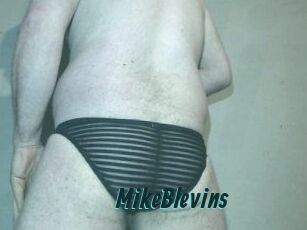 Mike_Blevins