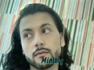 Mintboy