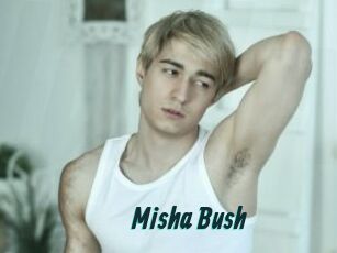 Misha_Bush