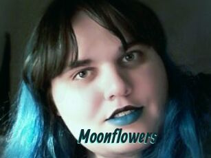 Moonflowers