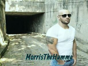 MorrisTheHumme