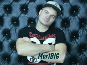 MortBIG