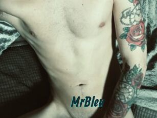 MrBleu