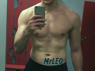 MrLEO