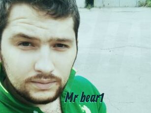 Mr_bear1