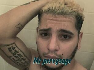 Mr_pervysage
