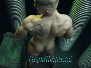 Magnificentstud