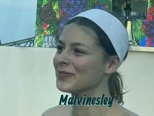 Malvinesley