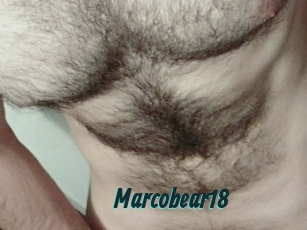 Marcobear18