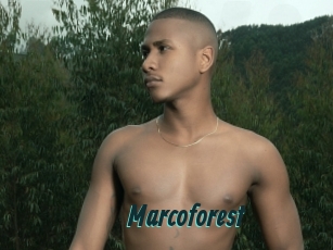 Marcoforest