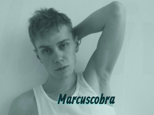 marcuscobra Lucy Live