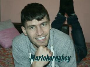 Mariohornyboy