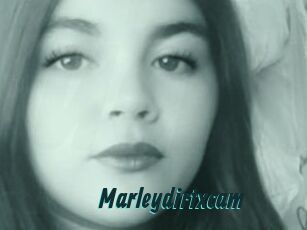 Marleydirtxcam