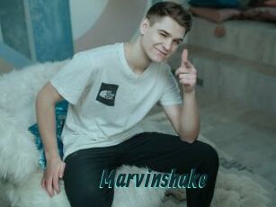 Marvinshake