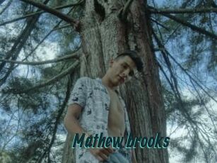 Mathew_brooks
