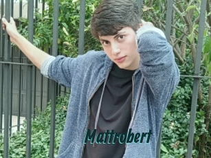 Mattrobert