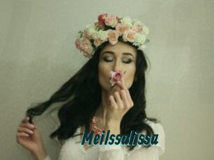 Meilssalissa