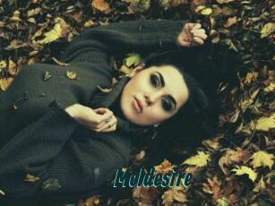 Meldesire