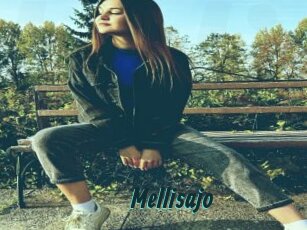 Mellisajo