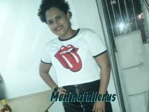 Meninafullerus