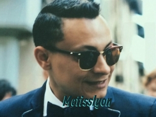 Metisslyon