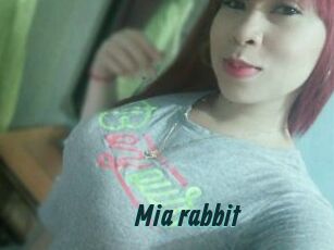 Mia_rabbit