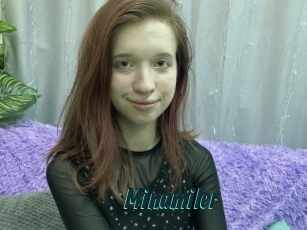 Minamiler