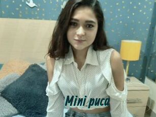 Mini_puca