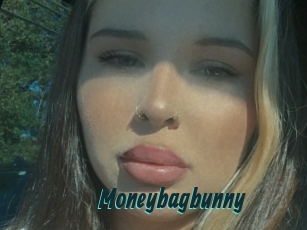 Moneybagbunny