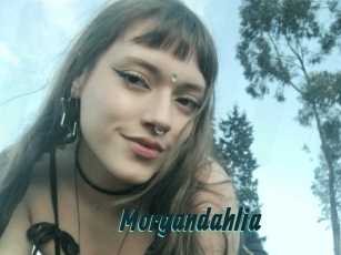 Morgandahlia