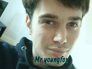 Mr_youngfox