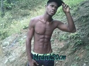 Mrdick20cm