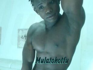 Mulatohotfu