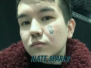 NATE_SPARKS