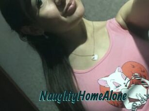 NaughtyHomeAlone
