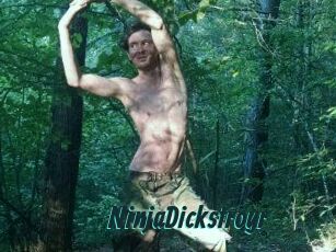 NinjaDickstroyr