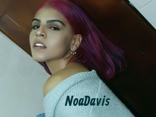 NoaDavis