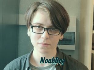 NoahBoy